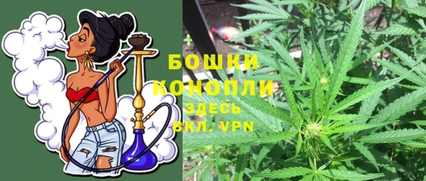 apvp Арсеньев