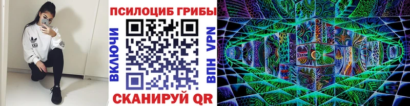 сайты даркнета наркотические препараты  магазин продажи наркотиков  Таштагол  Псилоцибиновые грибы GOLDEN TEACHER 